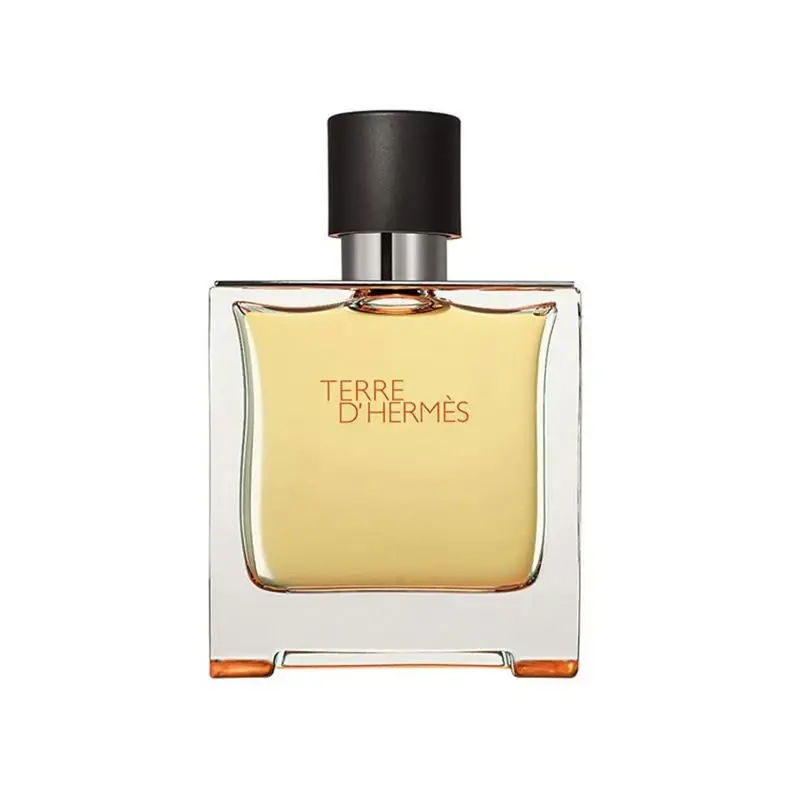 Perfume Hermes Terre d'Hermes Eau de Parfum en aerosol, 200 ml