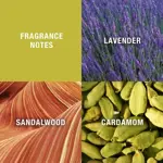 Colonia en aerosol Perfume Curve para hombre, 125 ml