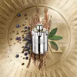 Wanted EDP