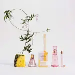 Perfume Good Chemistry Coco Blush Eau de Parfume, 100 ml