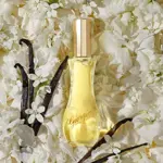 Perfume Giorgio By Giorgio Beverly Hills Eau De Toilette 50 ml