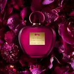 Perfume Antonio Banderas Secret Femenine Su tentación secreta