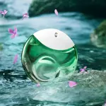 A Drop d
