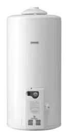 Termotanque A Gas 75 Litros De Col...