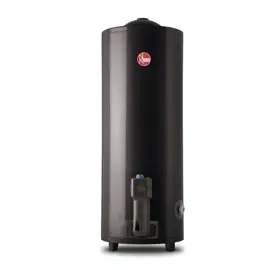 Termotanque A Gas 120 Litros Carga ...