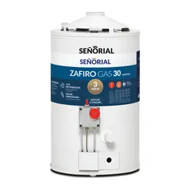 Termotanque A Gas 30 Litros Carga I...
