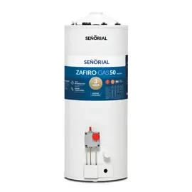 Termotanque A Gas 50 Litros Carga S...