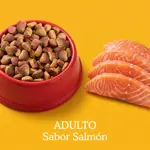 Pedigree Sabores Salmon Alimento Para Perros Adultos 21K