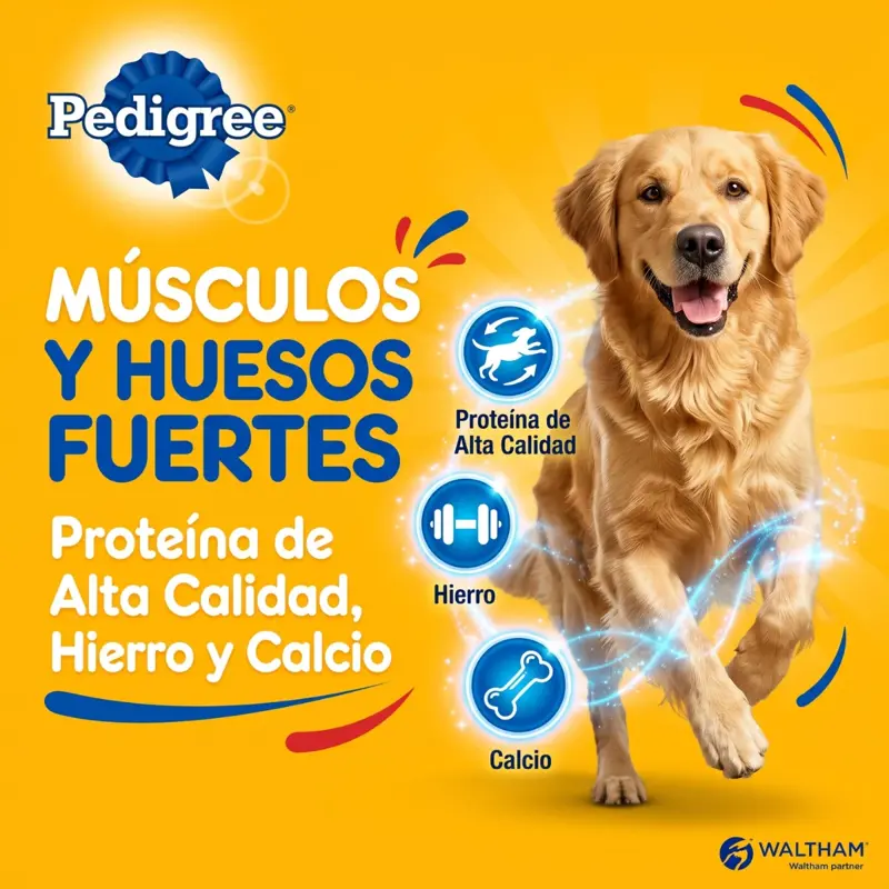 Pedigree Para Perro Adulto Sabor Cordero X 8 Kg