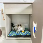 Cubo Sanitario o Casita Cucha de Interior Calado Gato 6004