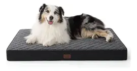 Colchón Ortopédico  Para Perros Gra...