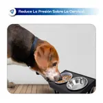 Bebedero y Comedero Perros Elevado En Altura Plato Come Lento Waggs