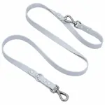 Correa Para Perro Gris Gadnic 180 Cm PVC Impermeable Anti Olor Con Mosquetón 