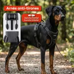 Arnes Pretal Pechera Regulable Perro Anti Tirones Negro L Waggs