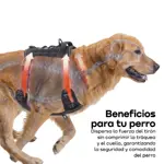 Arnes Pretal Pechera Regulable Perro Anti Tirones Negro L Waggs