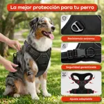 Arnes Pretal Pechera Regulable Perro Anti Tirones Negro L Waggs