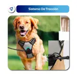 Arnes Pretal Pechera Regulable Waggs para Perros Anti Tirones XXL