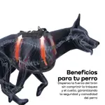Combo Arnés Táctico M y Correa Reforzada Reflectiva 1.9m Waggs Rojo