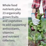 Multivitamínico Garden of Life Vitamin Code 50+ para hombres, 240 cápsulas