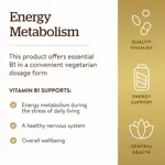 Suplemento Solgar de vitamina B1 (tiamina) 500 mg 100 comprimidos