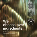 Suplemento probiótico Toniiq Lactobacillus Gasseri 50 mil millones de UFC