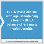 Suplemento Life Extension DHEA 25 mg Hormone Balance 100 comprimidos