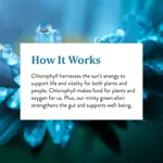 Suplemento de clorofila líquida Nature