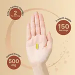 Suplemento NatureBell Quercetina 500 mg 300 cápsulas