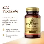 Suplemento Solgar Picolinato de Zinc 22 mg 100 comprimidos