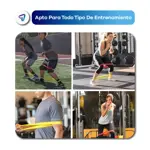 Bandas Elasticas Isometricas de Resistencia Waggs Set x5