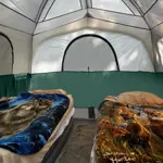 Carpa Camping UNP 6 Personas Impermeable con Soportal Fácil