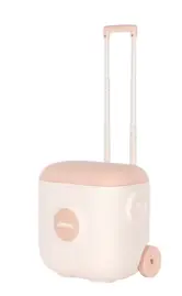 Conservadora  Vintage Con Carr...