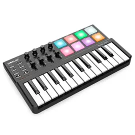 Mini Teclado Panda Mini 25 Tec...