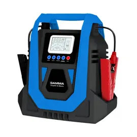 Cargador Inteligente 12V / 24V  G27...