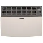 CALEFACTOR 4800K S21 TB5 P MF SH BG ESKABE