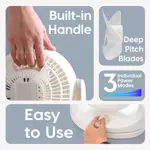 Ventilador Escritorio IRIS USA WOOZOO Mediano Oscilante