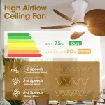 Ventilador Techo Kviflon 30 Pulgadas Hoja Palma Luz Control