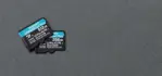 Tarjeta microSDXC Kingston Canvas Go Plus 256 GB UHS-I C10 U3 V30