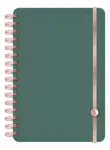 Agenda 15x21 Dxp Pu Diaria 2027 Ry Verde Green 2027