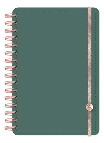 Agenda 15x21 Dxp Pu Diaria 2027 Ry Verde Green 2027