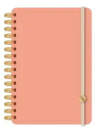 Agenda 15X21 Dxp Pu Diaria 2027 Ry ...