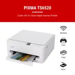 Impresora Inkjet Canon PIXMA TS6520 Color Duplex Blanca