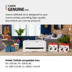 Impresora Inkjet Canon PIXMA TS6520 Color Duplex Blanca