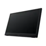 Monitor Acer PM161Q A1 FHD 15.6" Portatil UM.ZP1AA.106