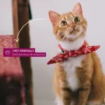 Aspiradora Ciclónica Power 1300W Atma AS8920