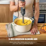 Licuadora de inmersión Ninja CI201GY de 4 velocidades con batidor de 1,9 L