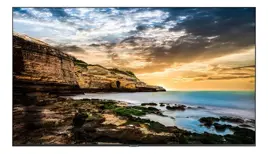 Pantalla Comercial  Qe50t De 50 Pul...