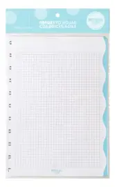 Repuesto Cuaderno Inteligente 30 H...