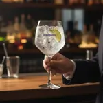 Box London Dry 750 Ml + Copa Brunelle + Tarjeta