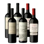 Vino DV Catena x2 un + Vino Saint Felicien x2 un + Vino Nicasia Red Blend x2 un